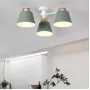 scad-6-green