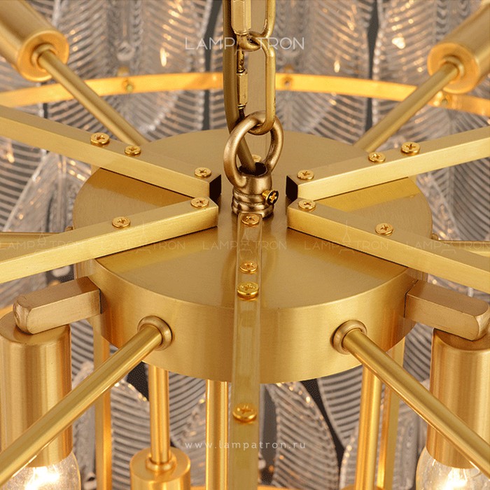 niba-6