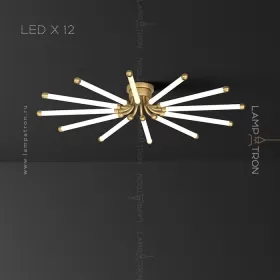 lola-12