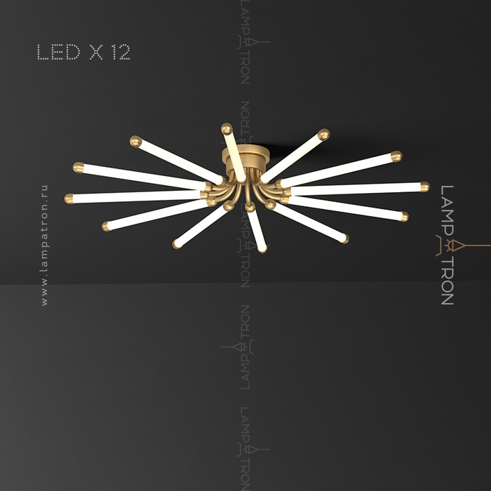 lola-12