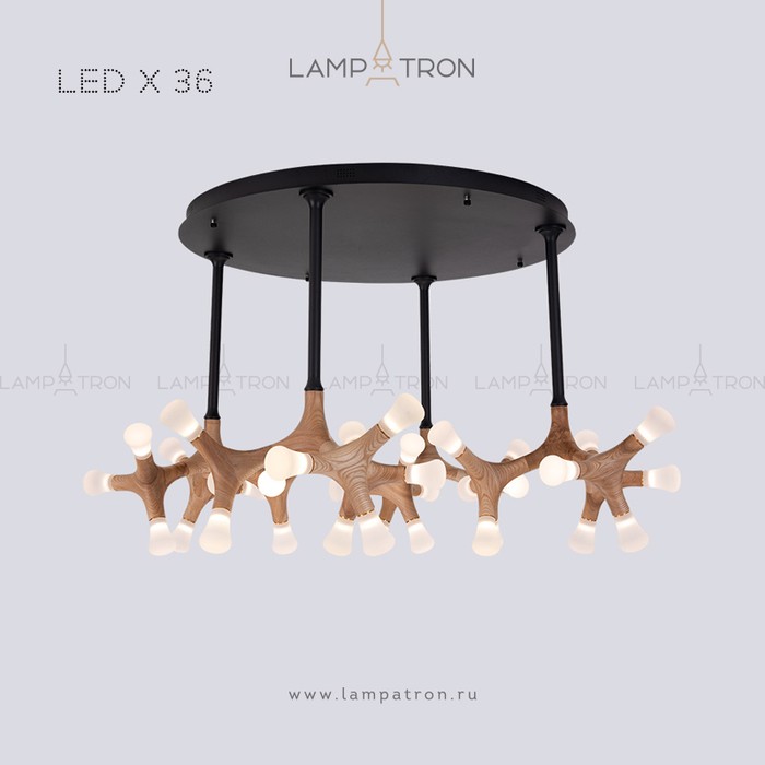 santana-ch-27-light-wood