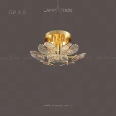 gardia-5