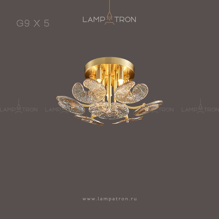 gardia-6