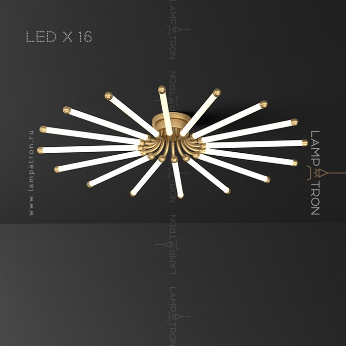 lola-12