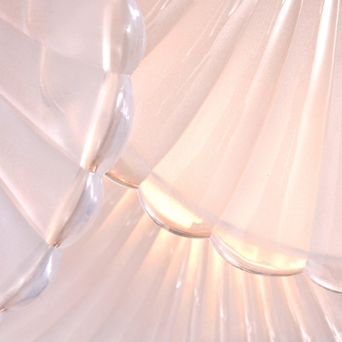 shells-6