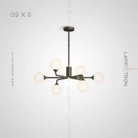 proton-6-black
