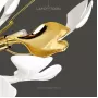 julietta-lux-16