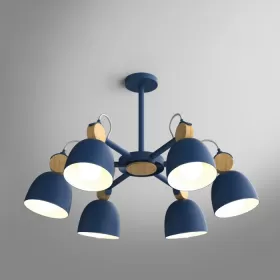 rolla-bilberry-6