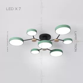 gamma-7-green