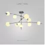 neander-chrome