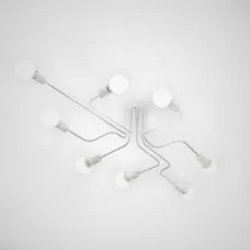 SCHEMEWHITE01