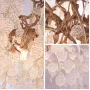 fairytree-12