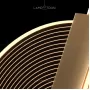 procyon-12