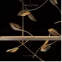 allure-m-brass