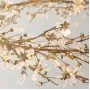 jasmin-s
