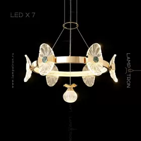 locus-lux-7