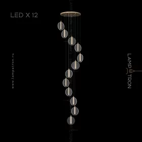 procyon-12