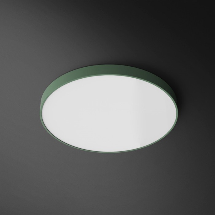 disc-col-grey-50