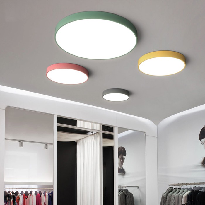 disc-col-grey-50