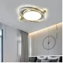 gerdis-gold-s-tricolor-light