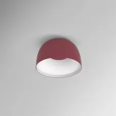 brim-red-s