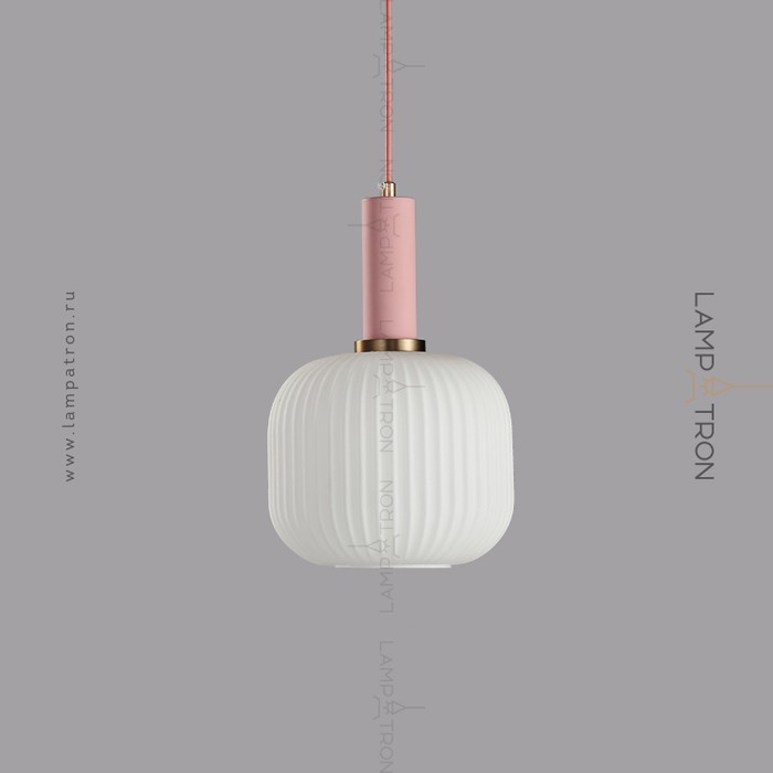iris-w-b-pink