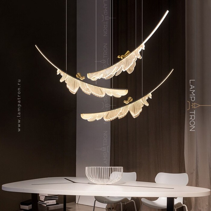 colibri-combo-2