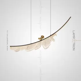 COLIBRI01