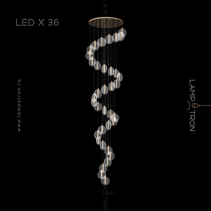 procyon-12