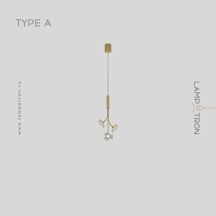 camilia-one-a-brass