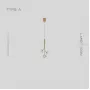 camilia-one-a-brass