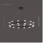 blasius-12-black