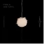 roslyn-ball-a-xl
