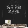 blasius-12-black