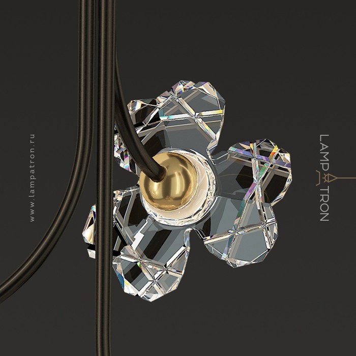 camilia-one-a-brass