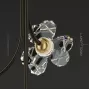 camilia-one-a-brass