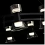 blasius-12-black