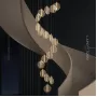 procyon-12
