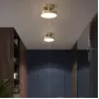 tenn-cosy-c
