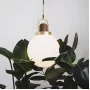 alison-b-l