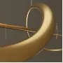 adonis-m-brass