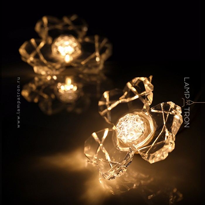 camilia-one-a-brass
