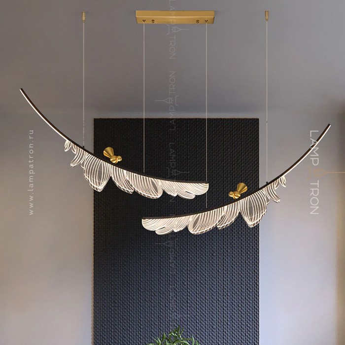 colibri-combo-2
