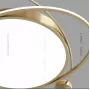 gerdis-gold-s-tricolor-light