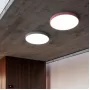 disc-col-grey-50