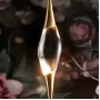 FAME01