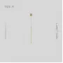 caria-s-brass