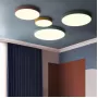 disc-col-grey-50