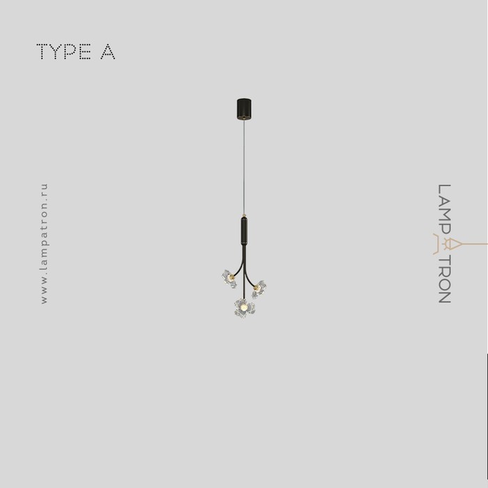 camilia-one-a-brass