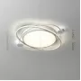 gerdis-gold-s-tricolor-light